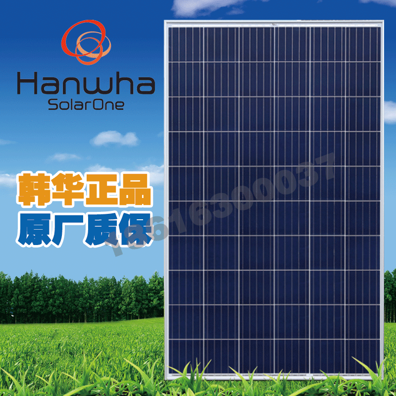 星空·综合体育