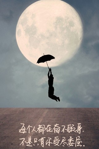 星空综合_加蓬调查木材公司(图4) 星空综合