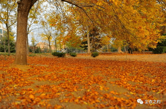 逐日一考 ▌ 10月26日是( )日‘星空·综合体育’(图3)
逐日一考 ▌ 10月26日是( )日‘星空·综合体育’(图3)