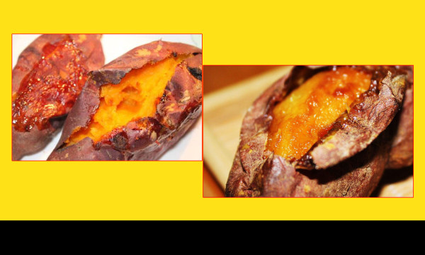 星空·综合体育