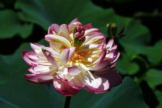 星空综合|
2015年运势有骤变的生肖盘货(图2) 星空综合|
2015年运势有骤变的生肖盘货(图2)