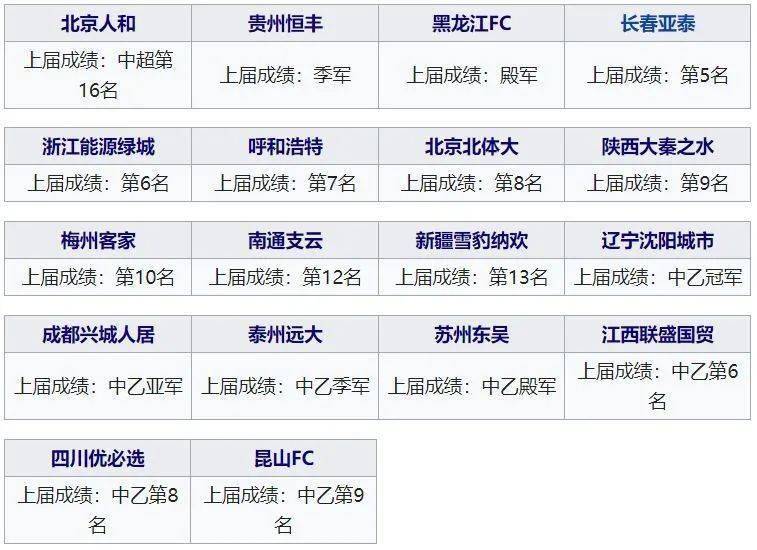 
三年近40支球队消失 足协拿什么扩军？（纪念那些退出足坛的球队）_星空综合(图3)