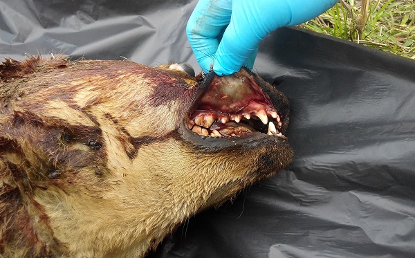 嘉兴港区【滨海都会花园】售楼处电话!售楼处位置价钱面积【官网】【星空·综合体育】(图7) 星空综合