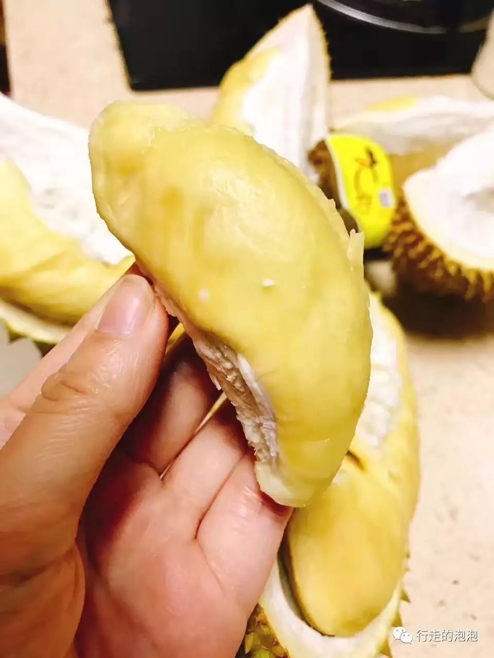 木材市场观察:非洲小鸡翅货源紧张行情下滑-星空·综合体育(图2) 星空综合