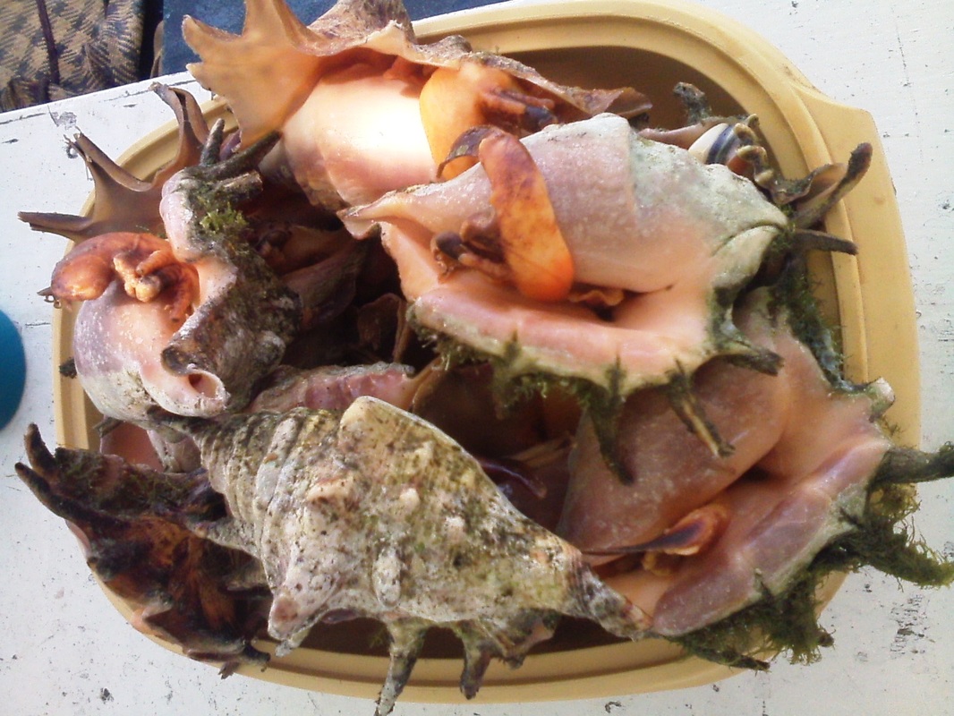 【星空综合】关于增加磷复肥生产保障国内供应的通知(图1) 星空·综合体育