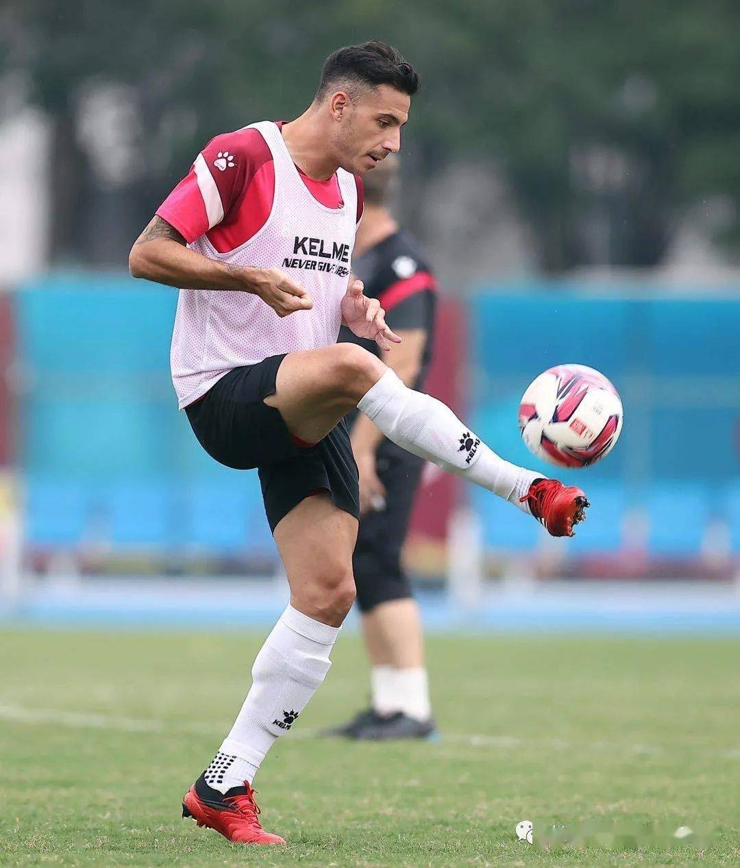 ‘星空·综合体育’
【常州赛区传真】巴巴扬携谭龙出席赛前新闻公布会  期待打好今年联赛第一枪(图15)