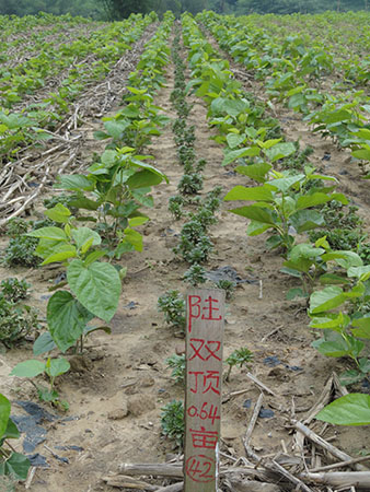 
泗水一中老照片（四）1995.看看内里有你吗？_星空综合