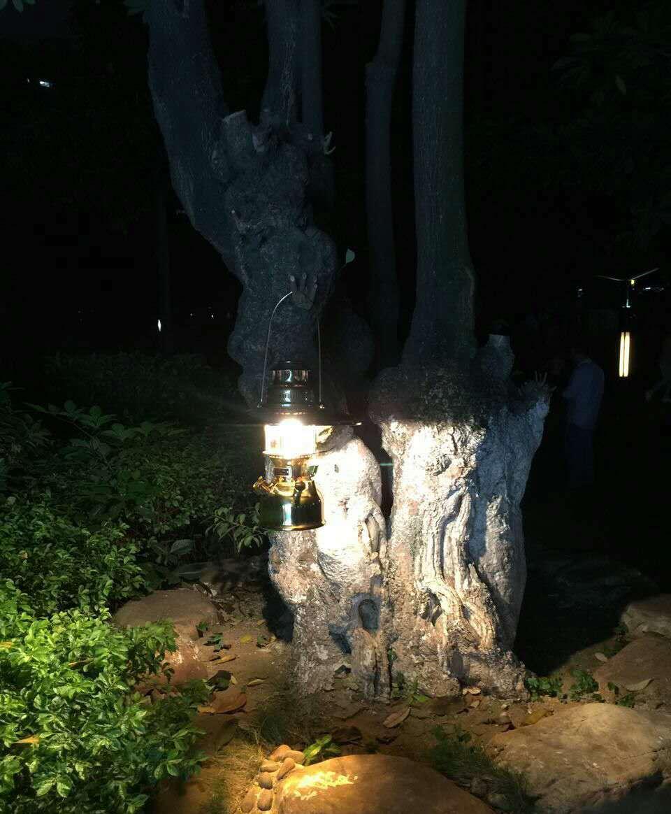 星空·综合体育