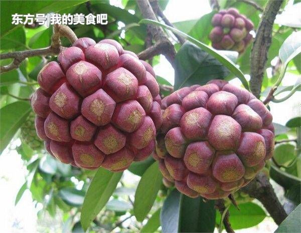 星空·综合体育