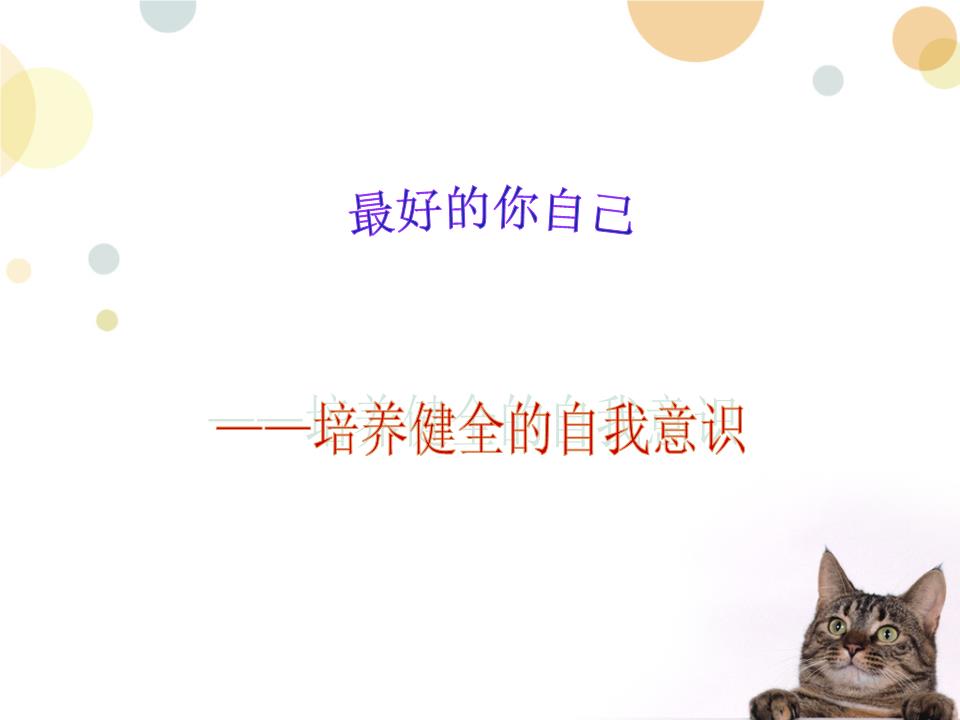 【星空·综合体育】非洲小斑马和菠萝格离岸价格正在上涨(图2) 星空·综合体育